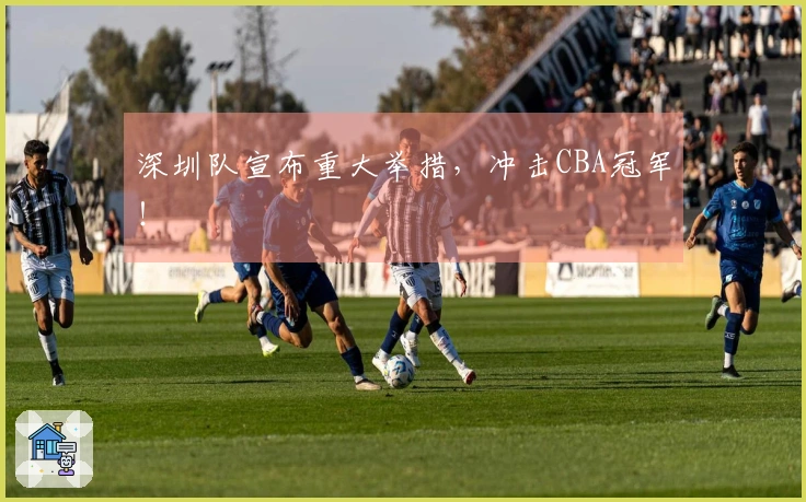 深圳队宣布重大举措，冲击CBA冠军！