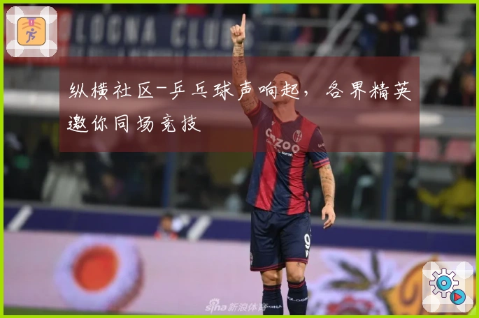 纵横社区-乒乓球声响起，各界精英邀你同场竞技