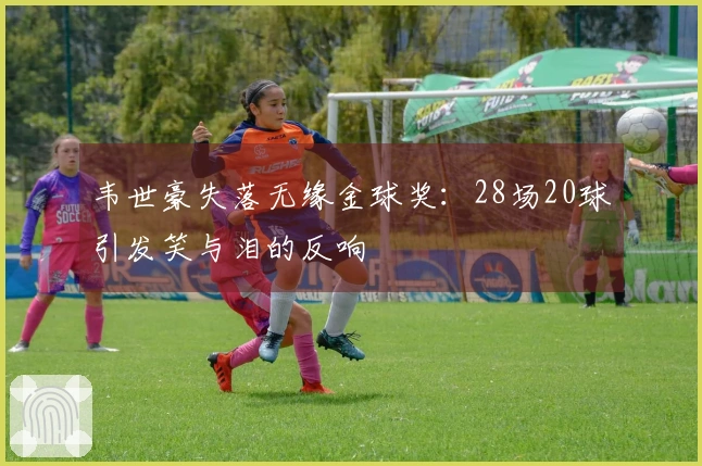 韦世豪失落无缘金球奖：28场20球引发笑与泪的反响