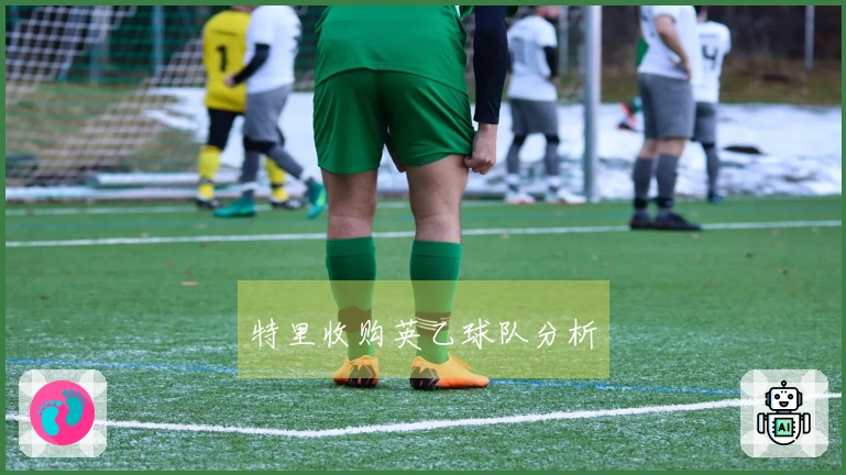特里收购英乙球队分析