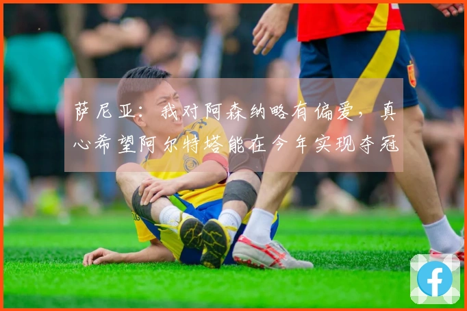 萨尼亚：我对阿森纳略有偏爱，真心希望阿尔特塔能在今年实现夺冠梦想