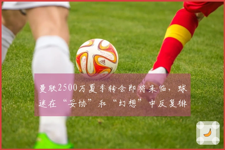 曼联2500万夏季转会即将来临，球迷在“妥协”和“幻想”中反复徘徊